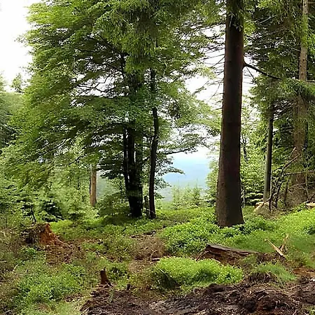 Hillside Near Winterberg Ξενοδοχείο