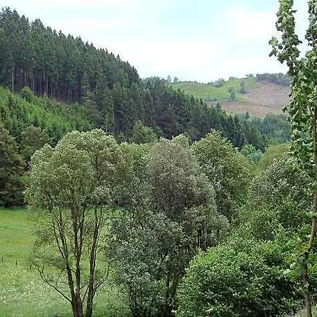 Hillside Near Winterberg 3* Hallenberg