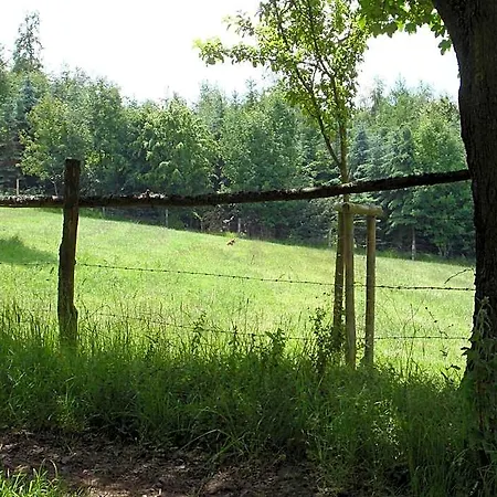 Hillside Near Winterberg 3*