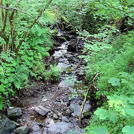 Hillside Near Winterberg Hallenberg