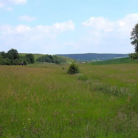 Hillside Near Winterberg 3*